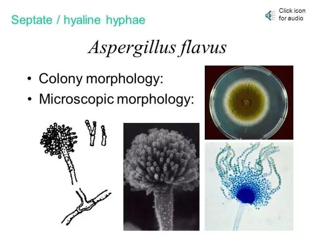 1507794781416027.jpg 微信图片_20171012155358.jpg